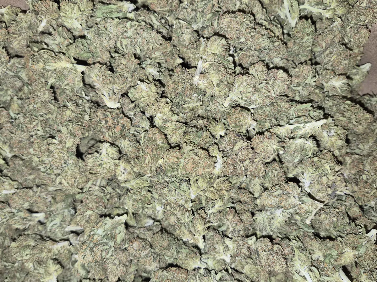 Acid Rock Flower