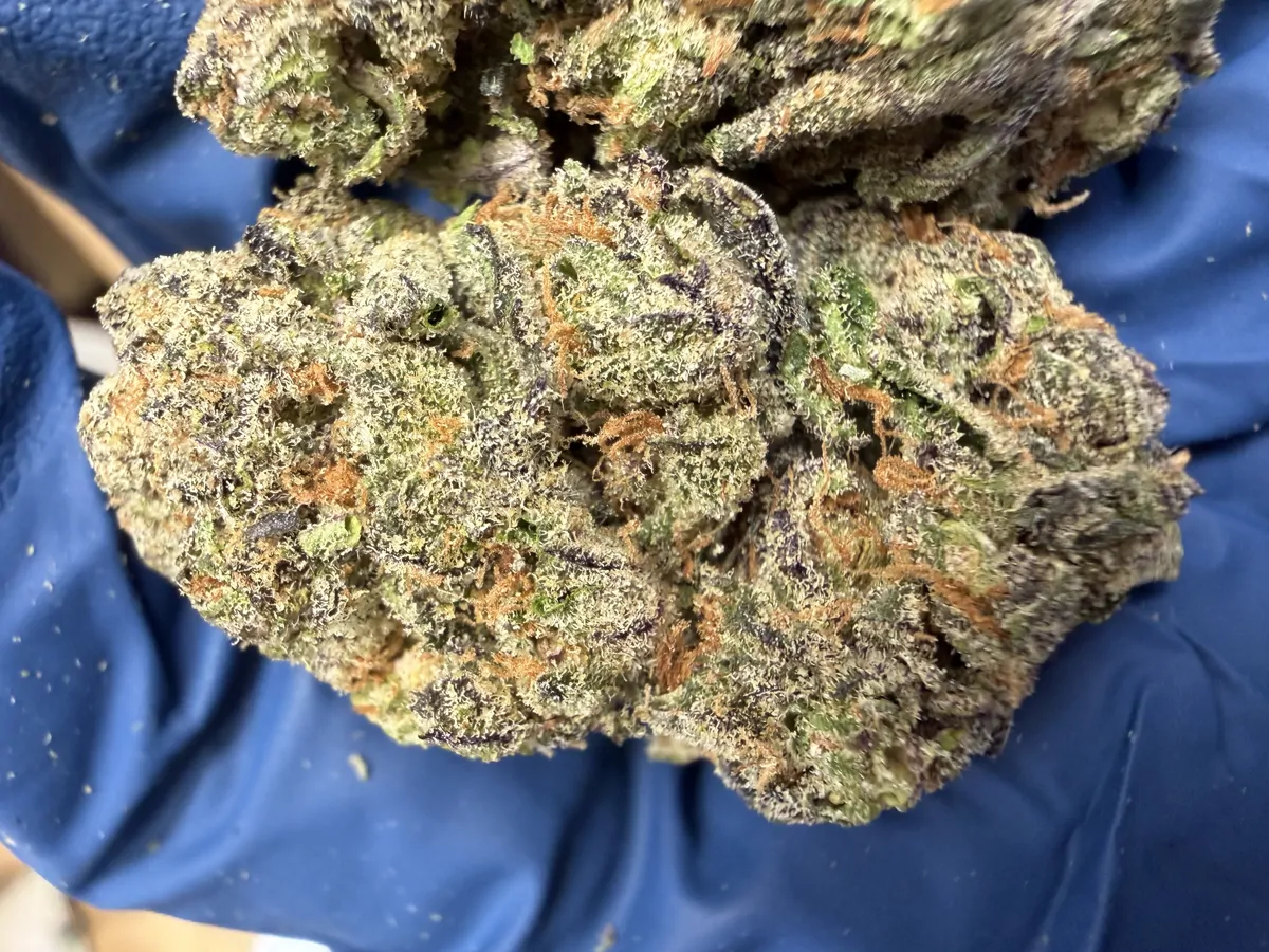 Gushers Flower