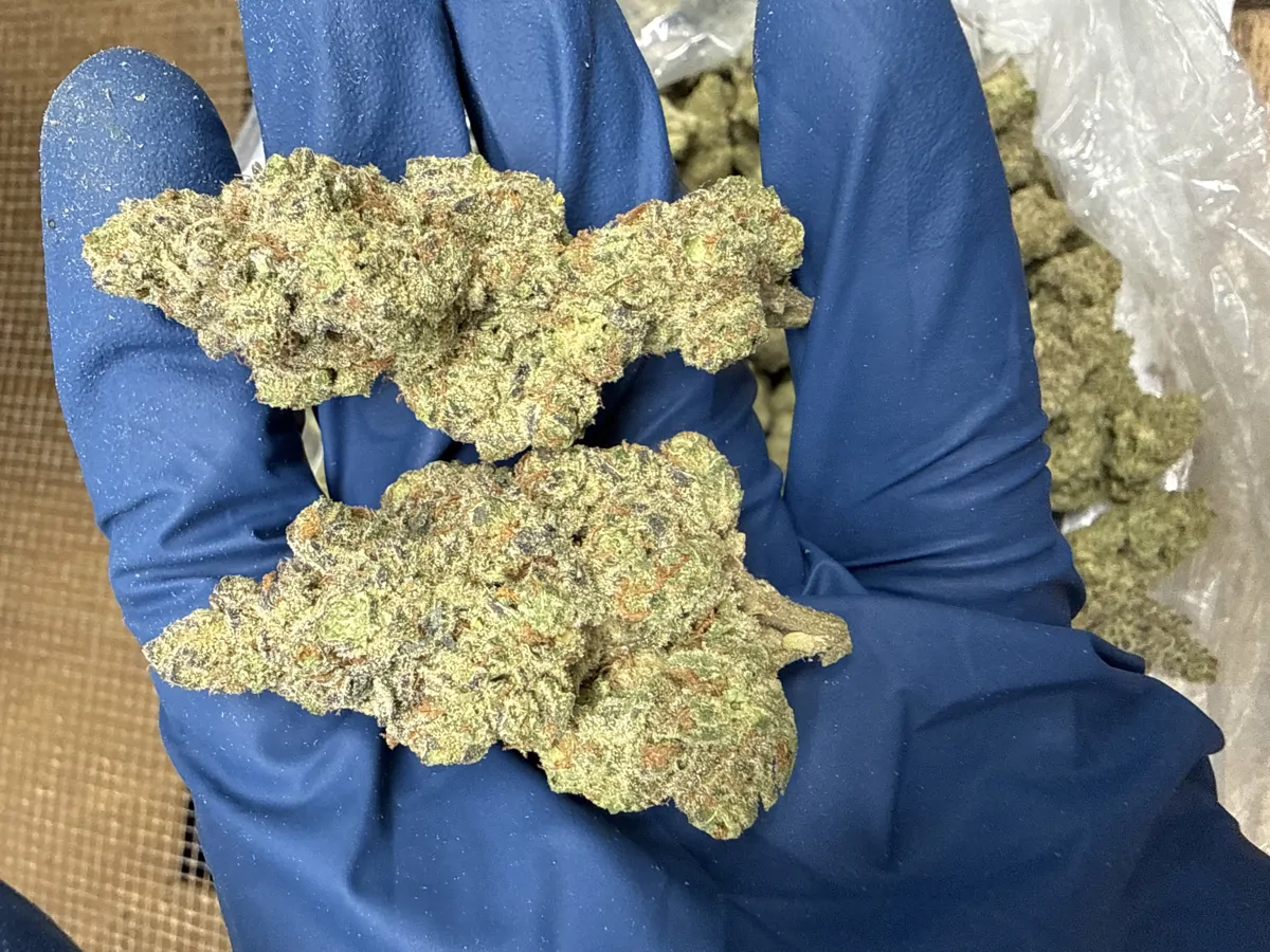 Pinnacle Flower