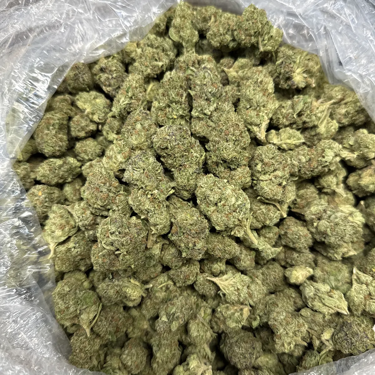 Sherblato Flower