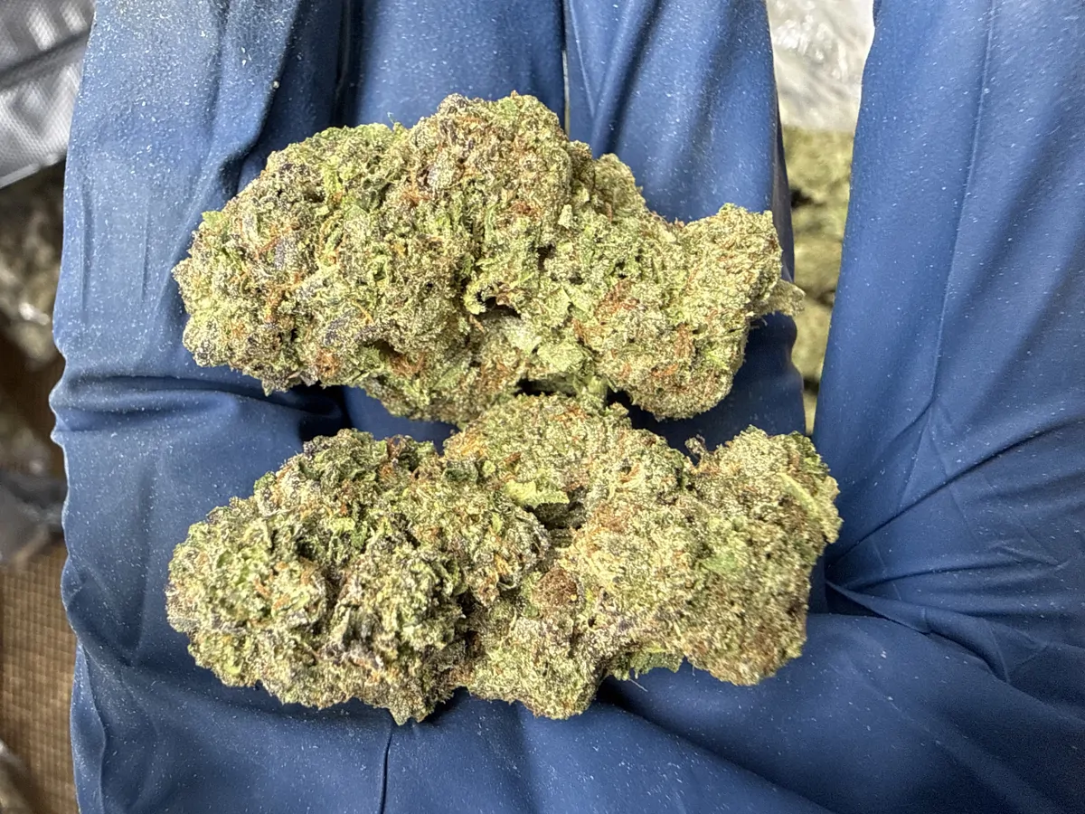 Sherblato Flower