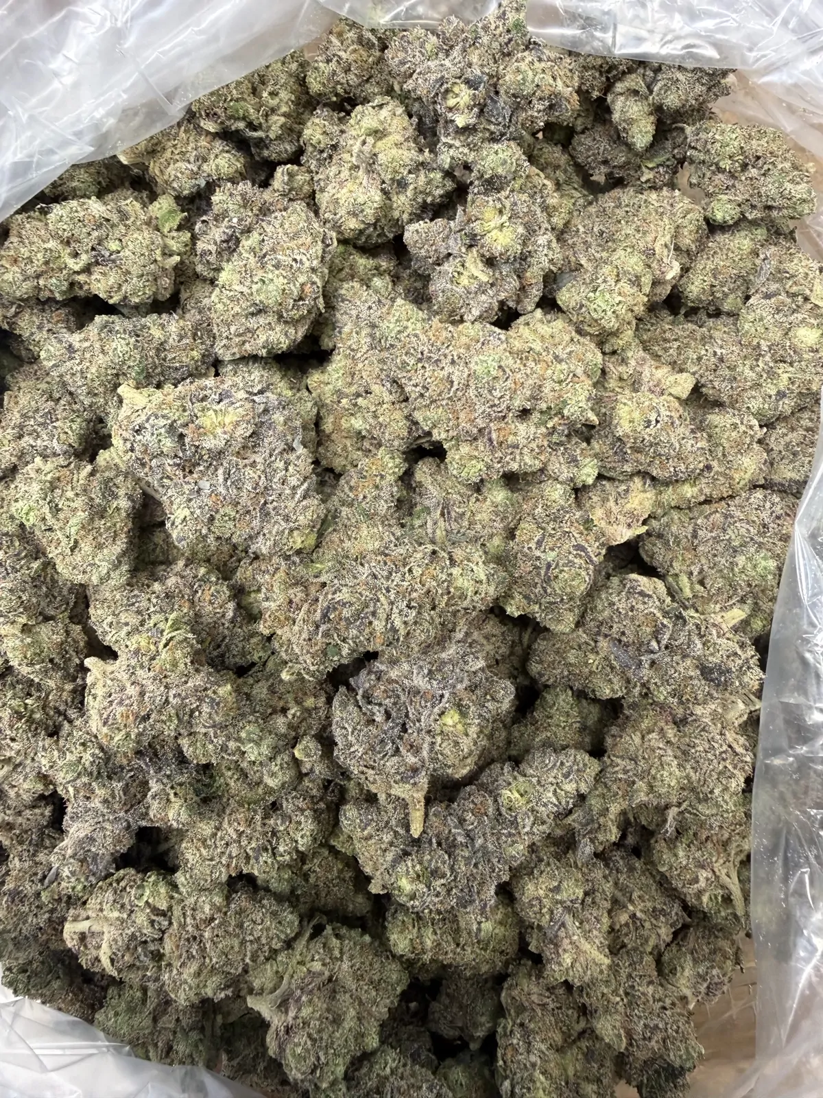 Zazoo Flower