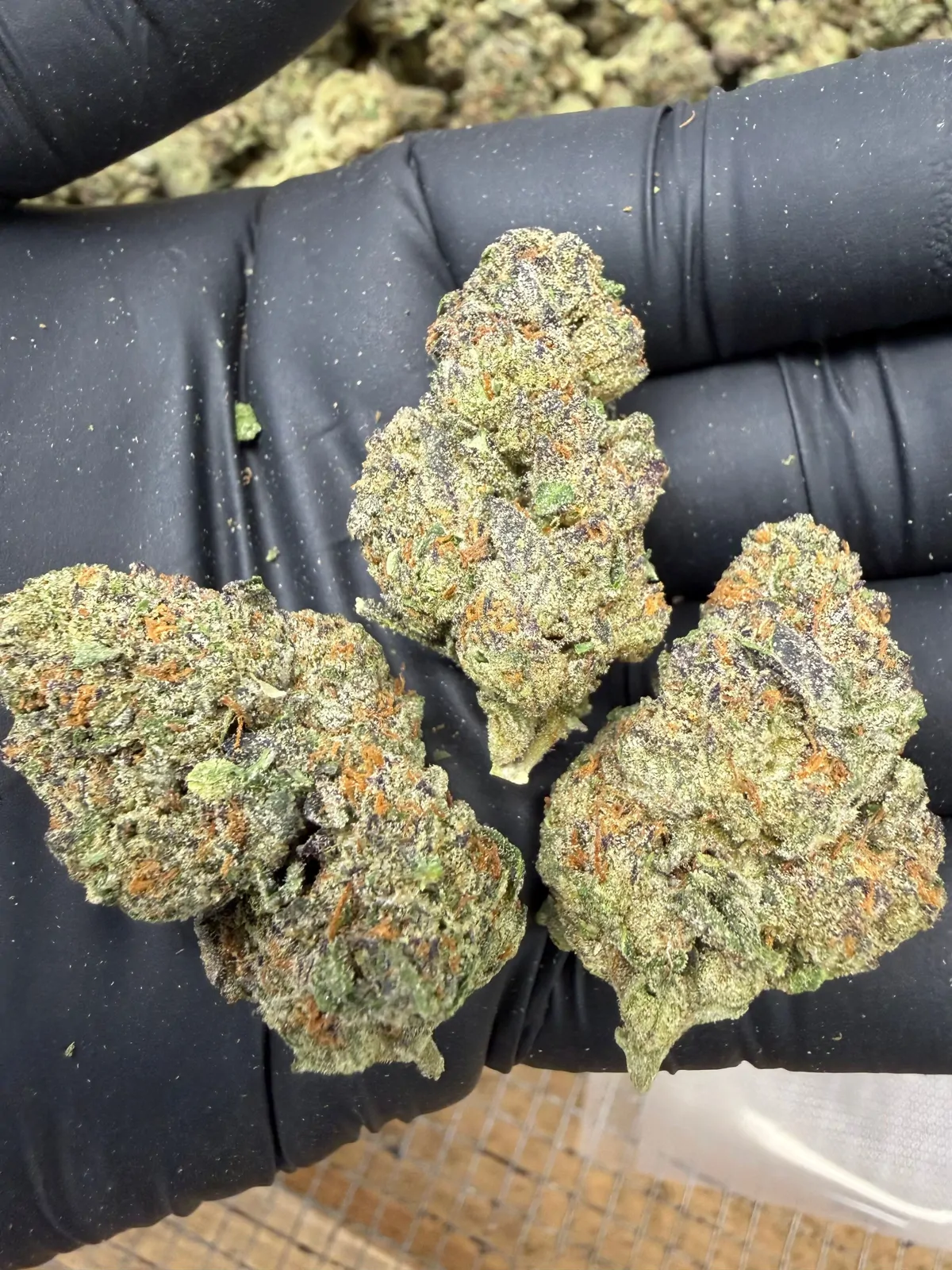 Gushers Flower
