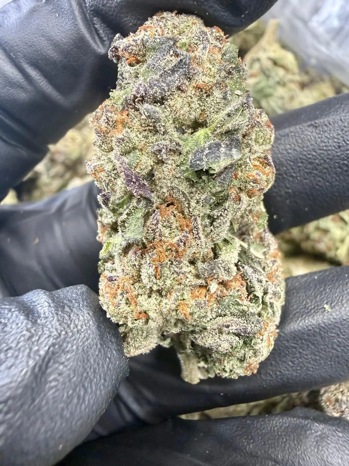 Gushers Flower