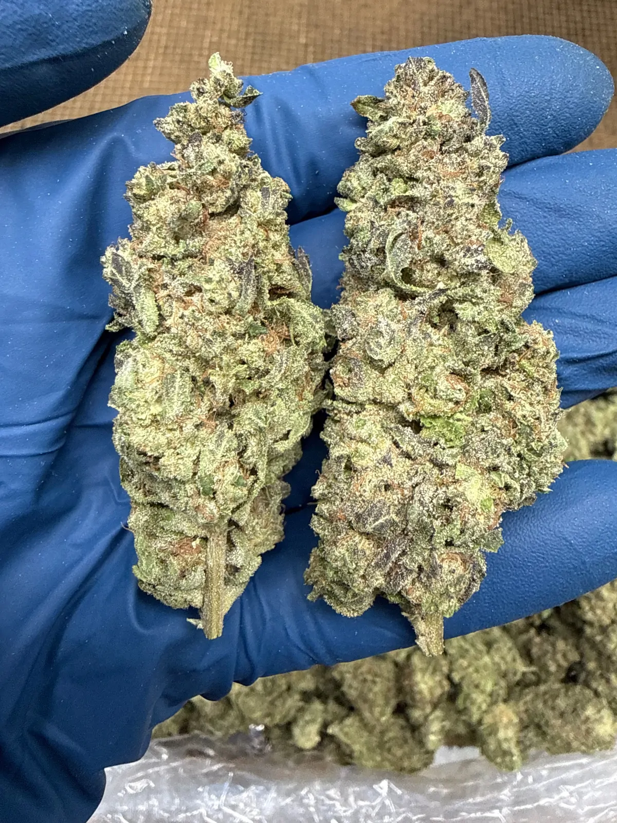 Hashburger Flower