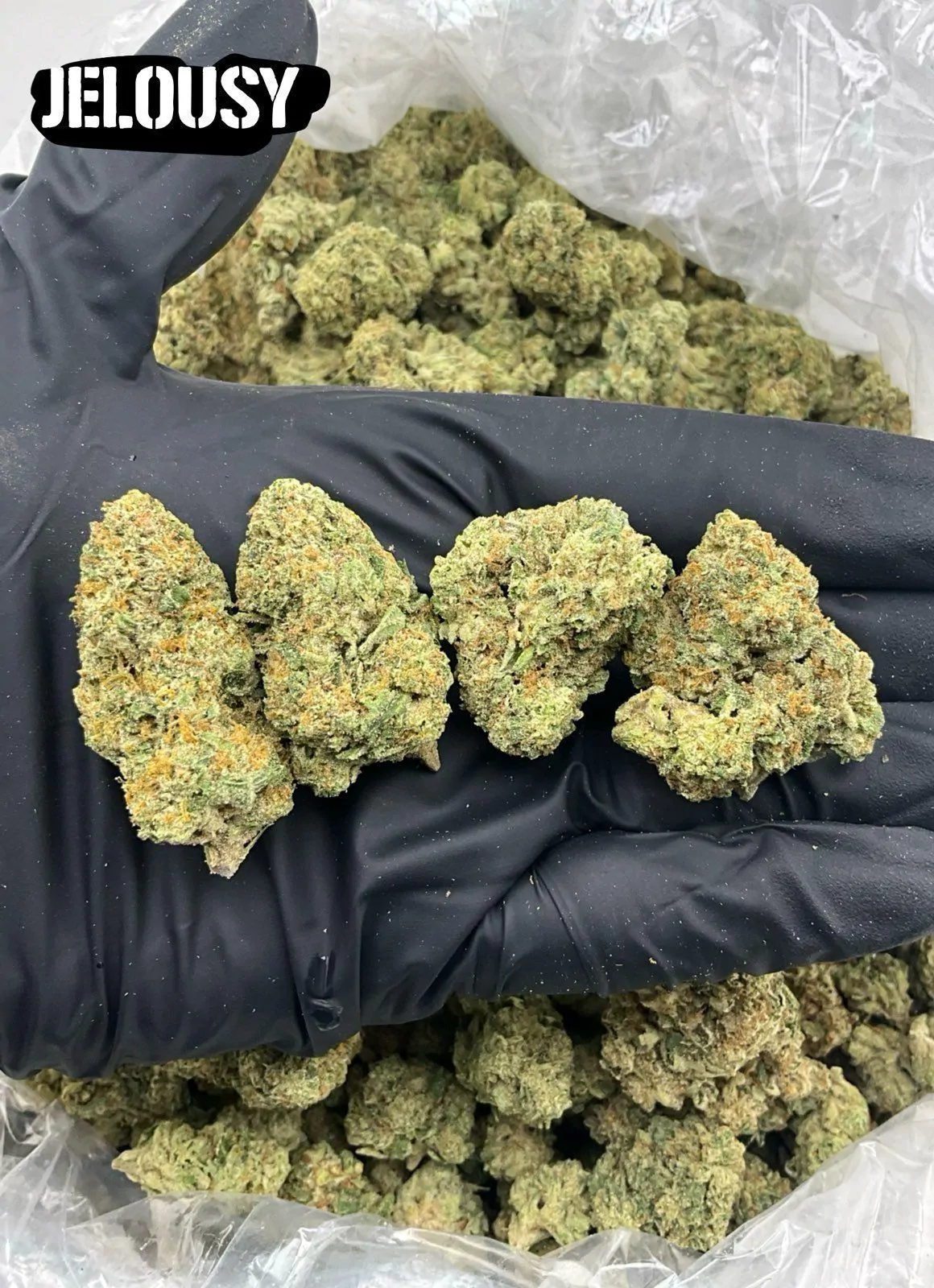 Jealousy Packaged Flower