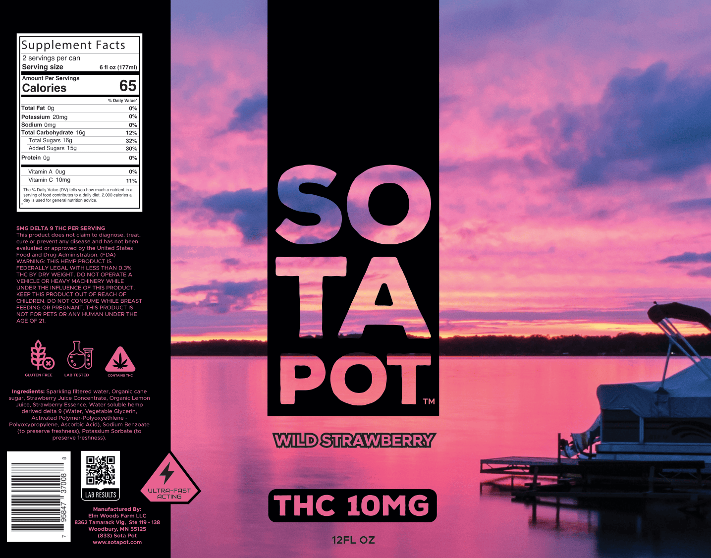 SotaPot Wild Strawberry 120 cans