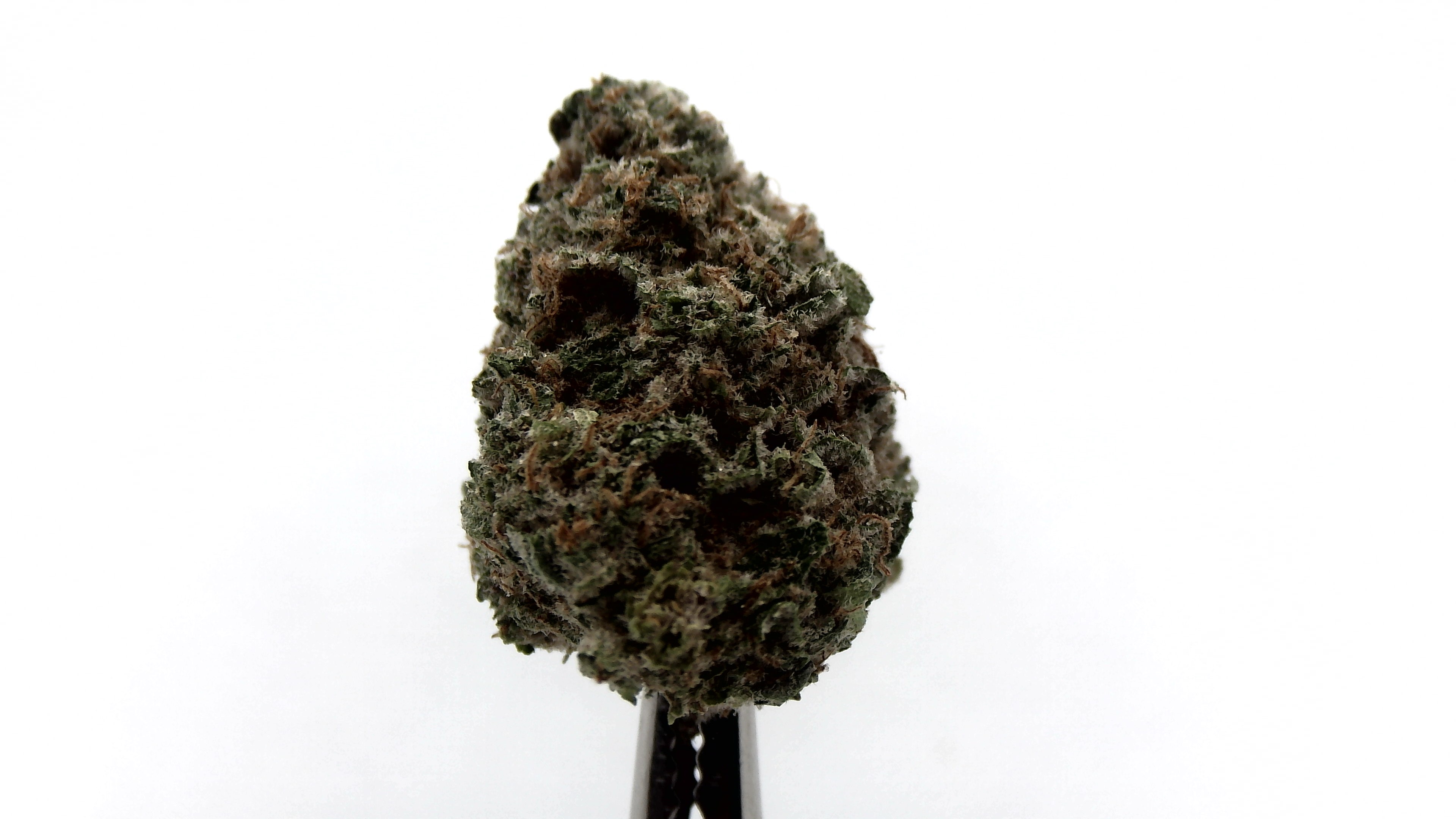 Bubba Kush