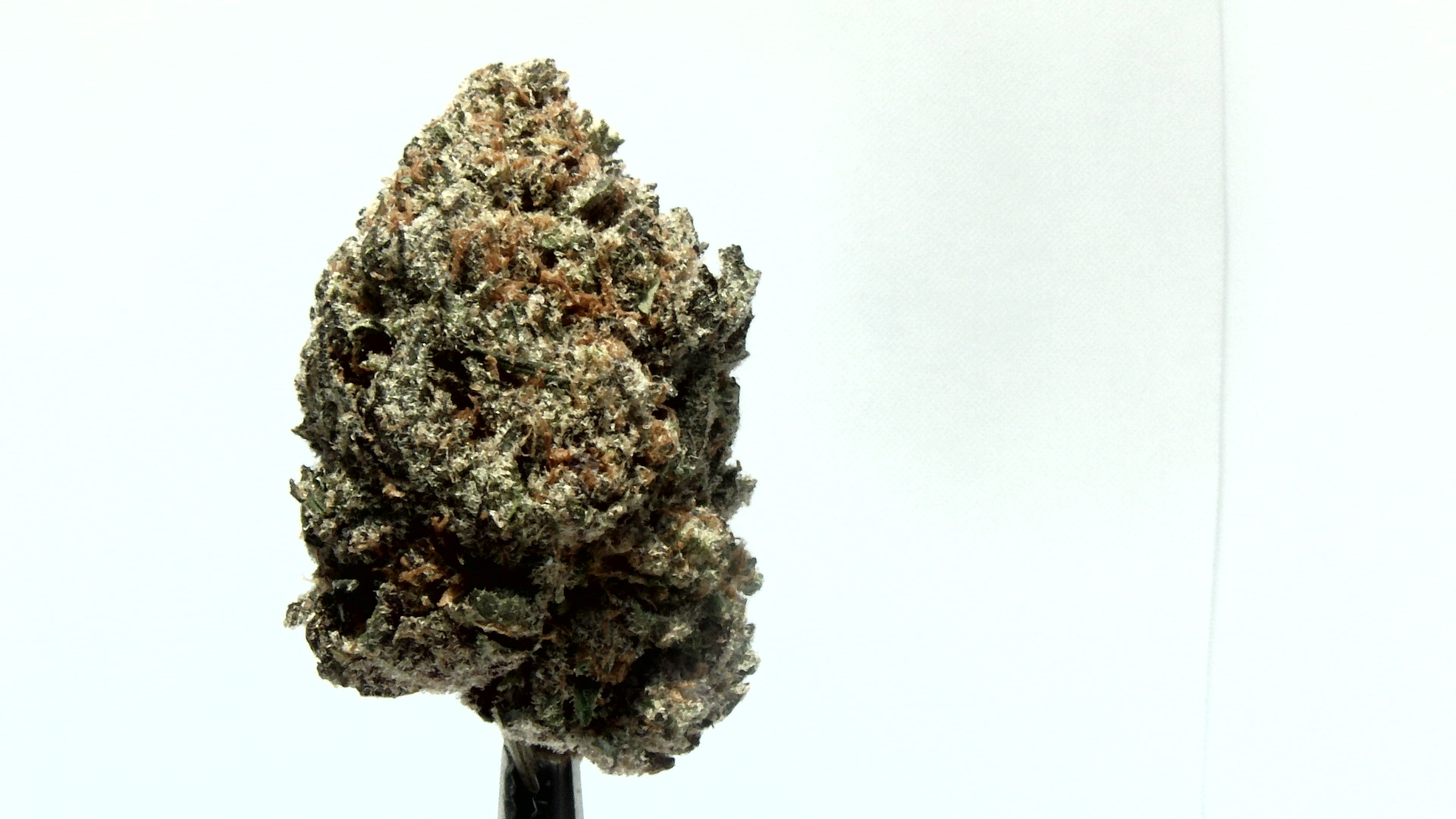Blue Dream