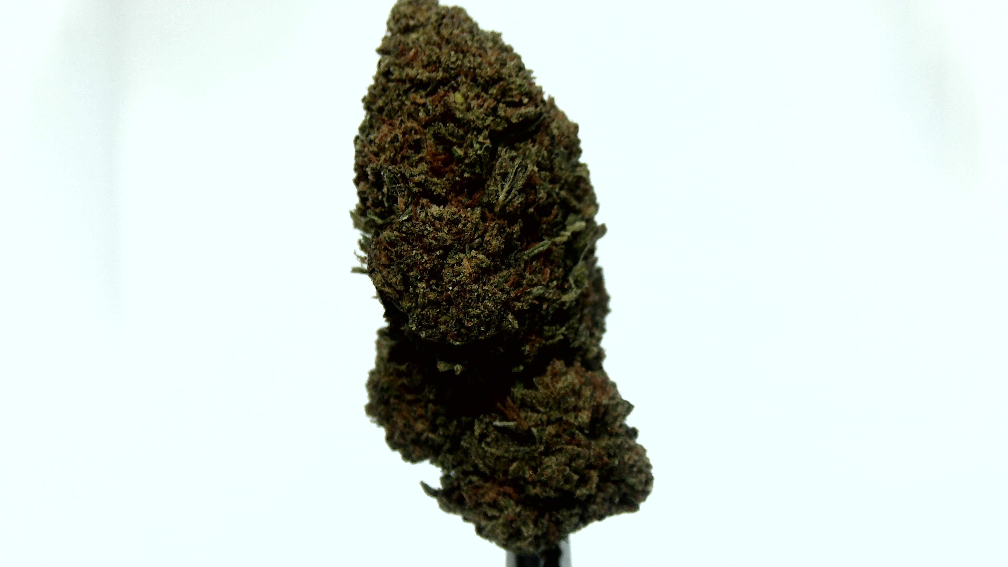 Berry Pie