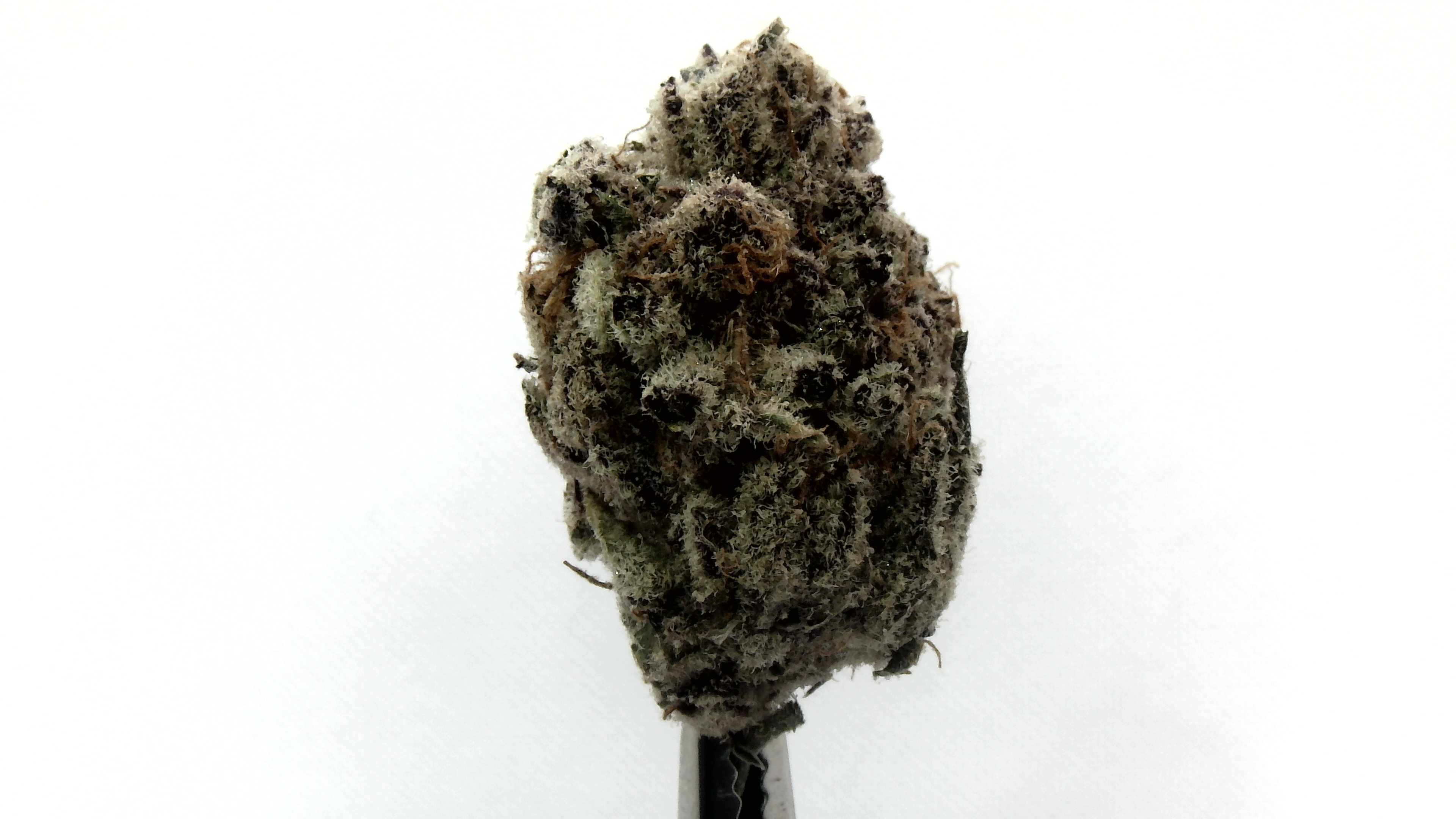 Banana Punch